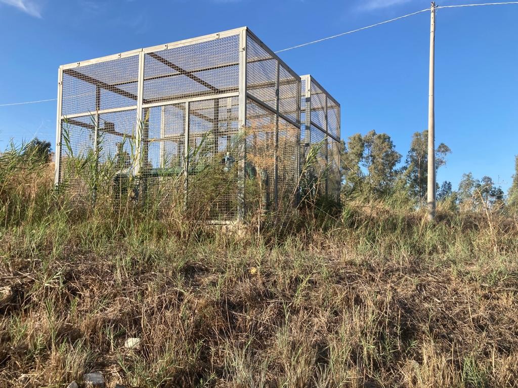 Immagine articolo: Riforma consorzi di bonifica, 9 enti saranno soppressi, 100 milioni per la transizione Immagine articolo: Riforma consorzi di bonifica, 9 enti saranno soppressi, 100 milioni per la transizione