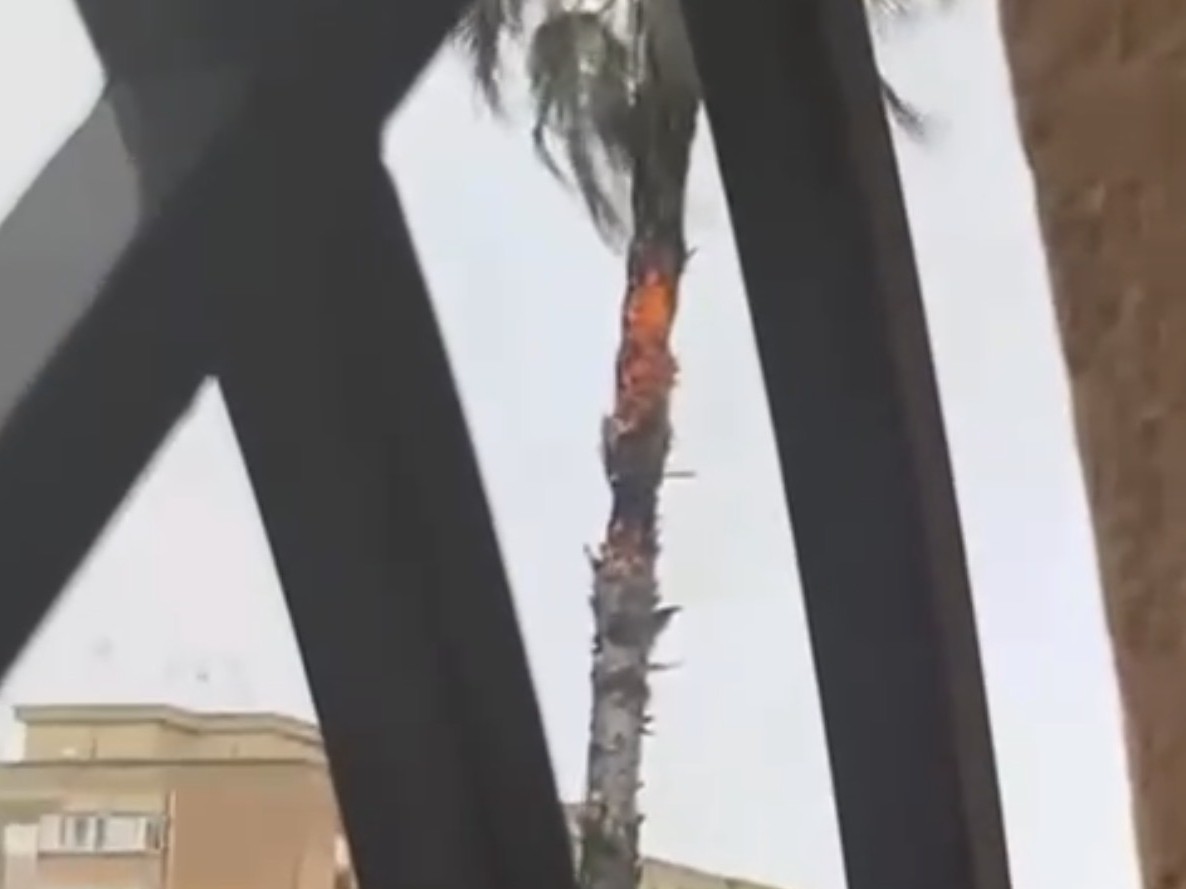Immagine articolo: Maltempo a Castelvetrano e Marinella: fulmine colpisce una palma, avvistata una tromba d'aria al largo