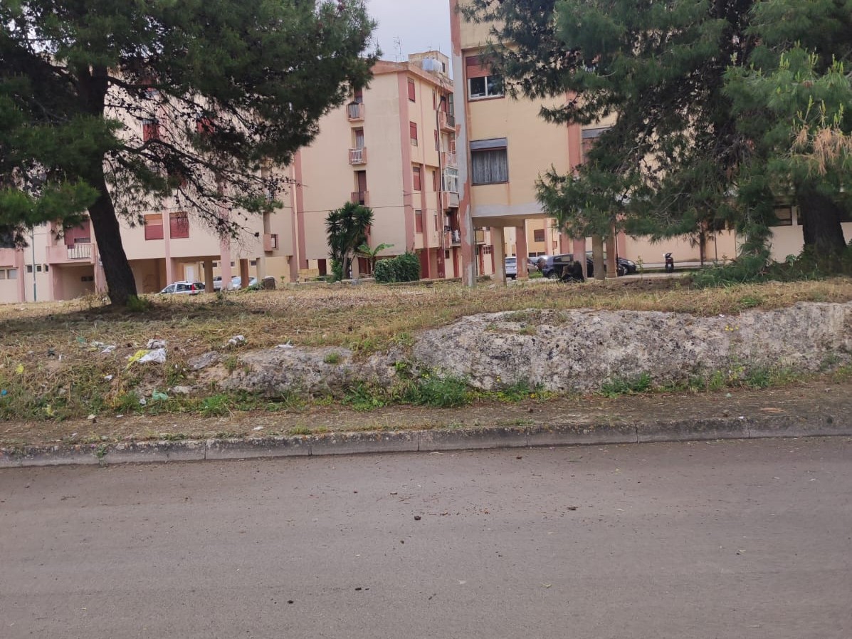Immagine articolo: Proseguono operazioni di scerbatura in città, ripulita via Sapegno Immagine articolo: Proseguono operazioni di scerbatura in città, ripulita via Sapegno