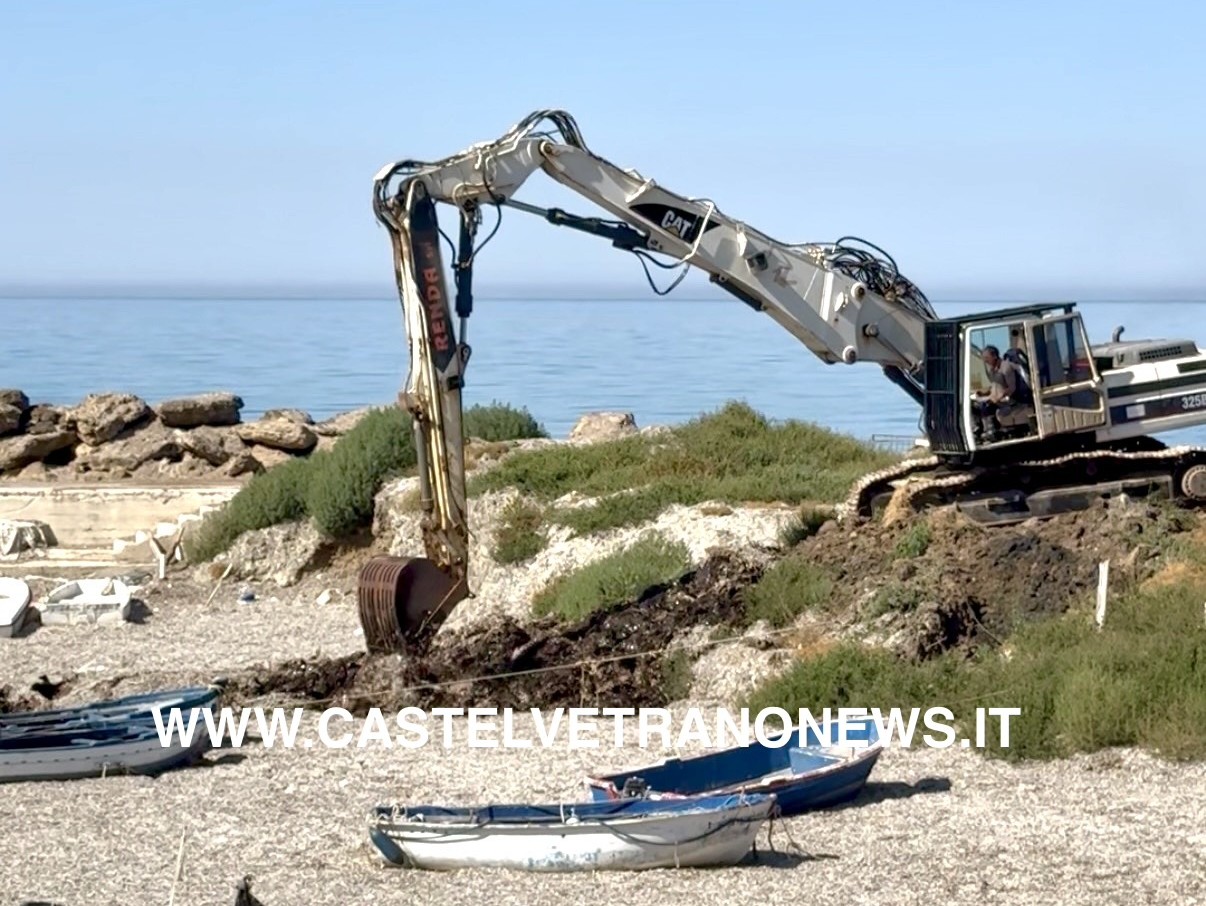 Immagine articolo: Marinella, al via la rimozione della posidonia: arrivata la ruspa al porticciolo