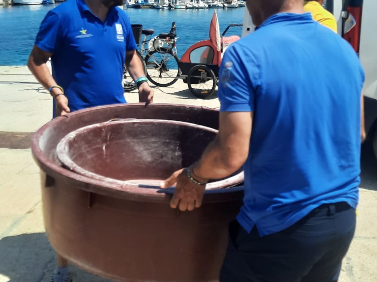Immagine articolo: Carabinieri salvano quattro esemplari di tartaruga "Caretta Caretta" in difficoltà Immagine articolo: Carabinieri salvano quattro esemplari di tartaruga "Caretta Caretta" in difficoltà