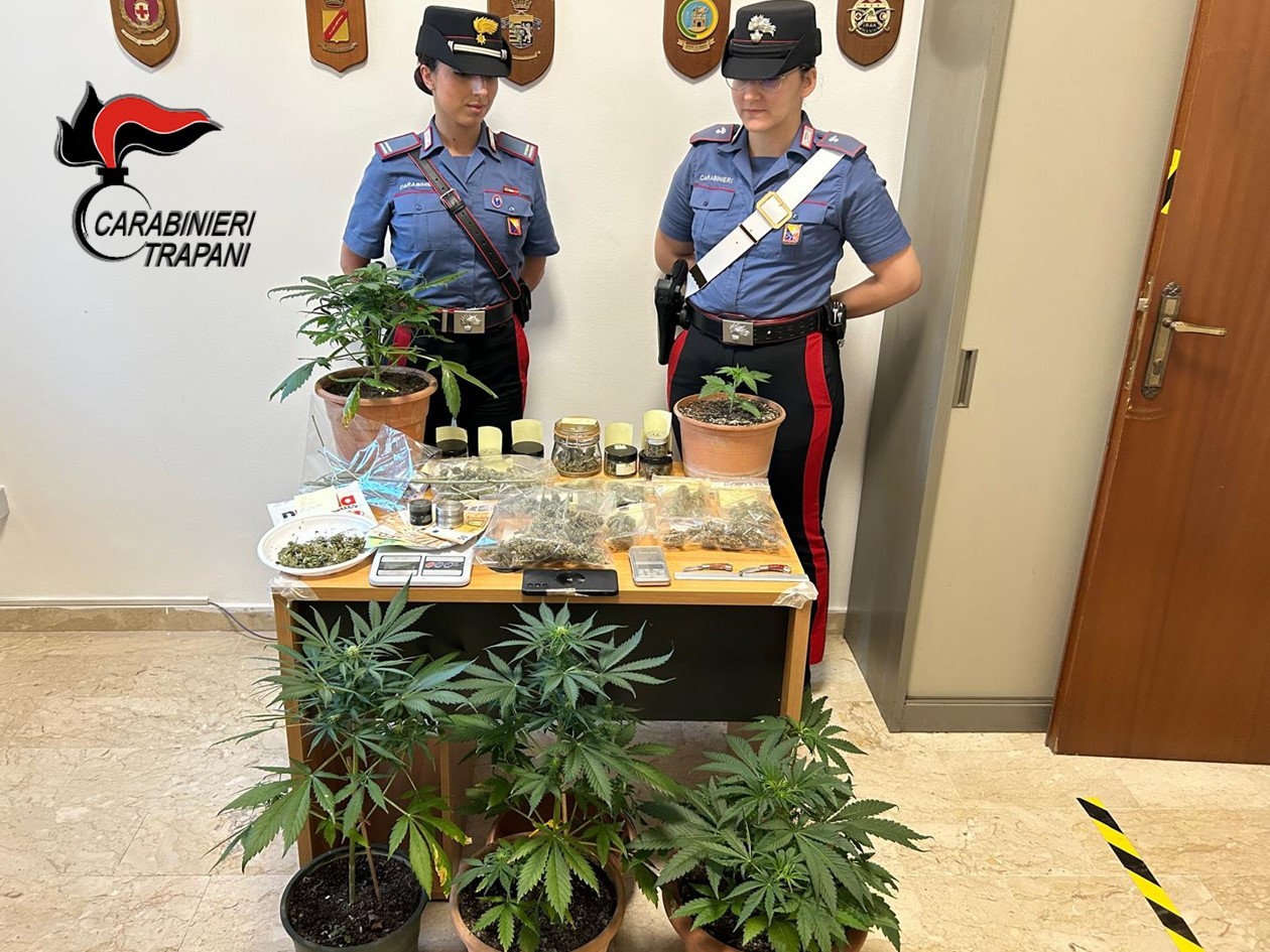 Immagine articolo: Accoltella un uomo, a casa i Carabinieri scoprono piante di marijuana Immagine articolo: Accoltella un uomo, a casa i Carabinieri scoprono piante di marijuana