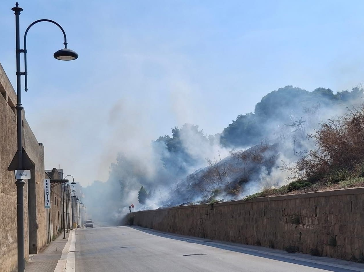 Immagine articolo: A fuoco il costone nei pressi via Tagliata. Colonna di fumo visibile da più punti della Cittá Immagine articolo: A fuoco il costone nei pressi via Tagliata. Colonna di fumo visibile da più punti della Cittá