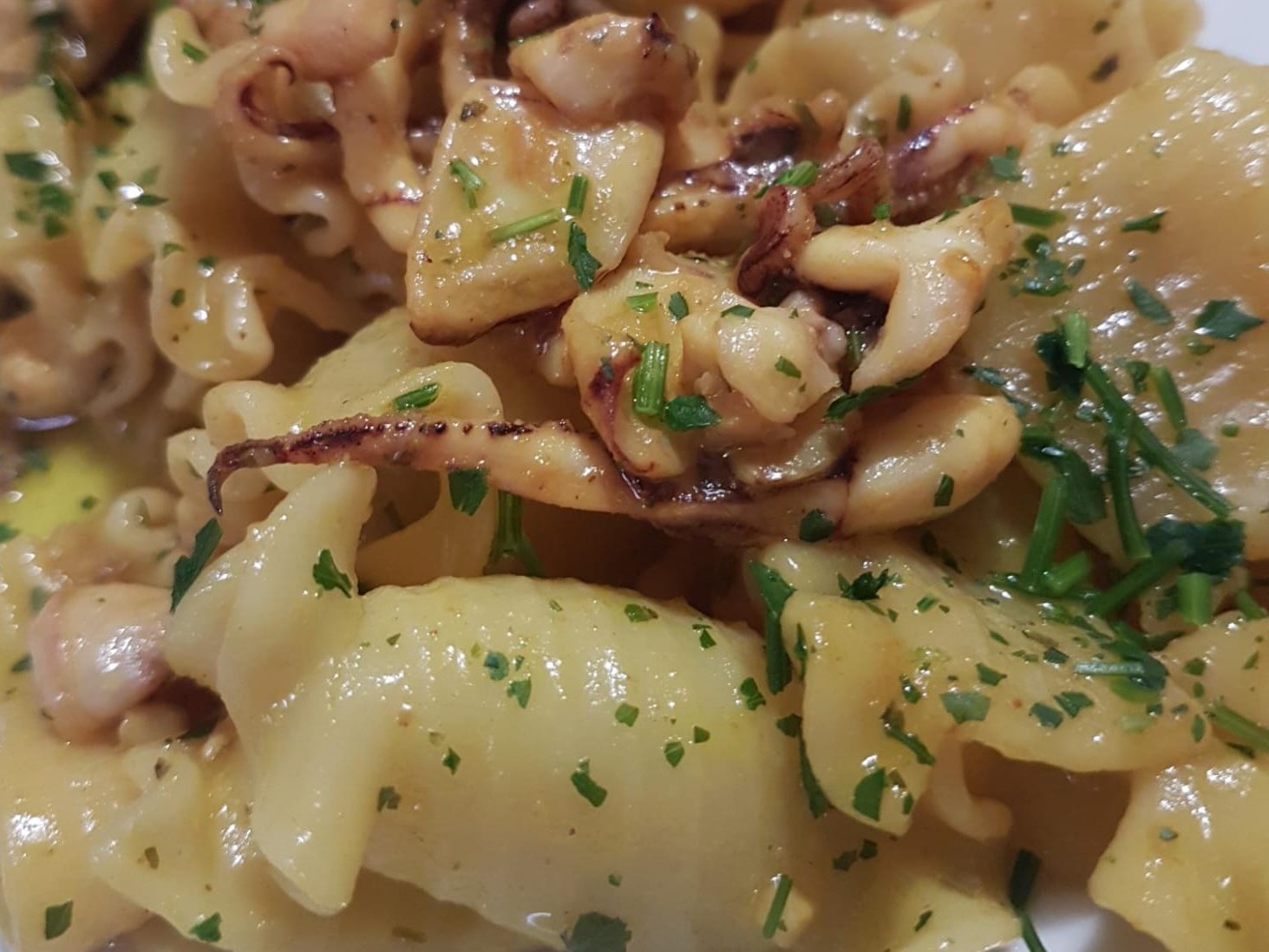 Immagine articolo: La mia ricetta è: pasta con calamari freschi. Ecco come preparare un piatto dal profumo mediterraneo