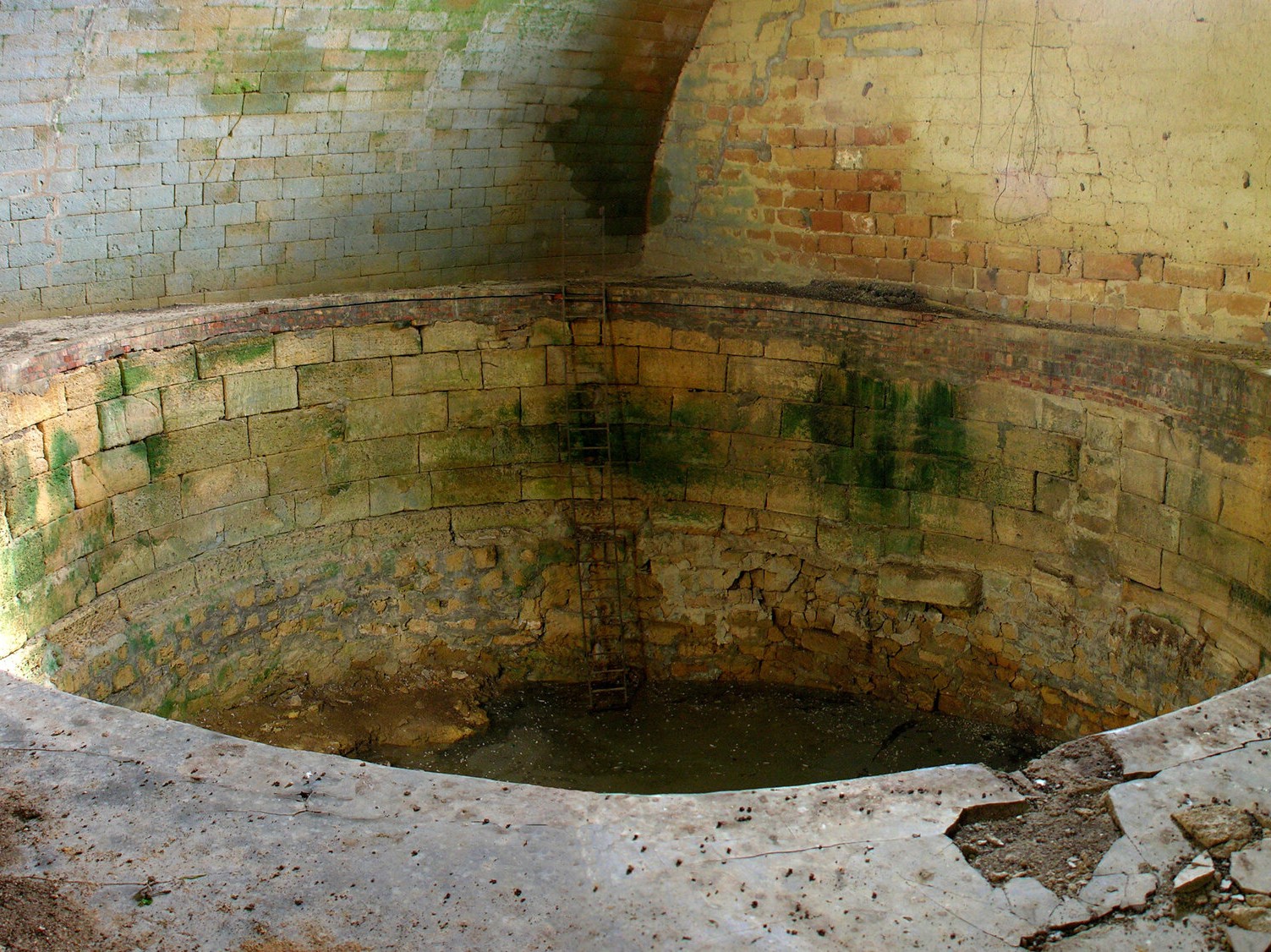 Immagine articolo: Alla "scoperta" della vasca selinuntina e della torre di Bigini. Due ricchezze del territorio a rischio