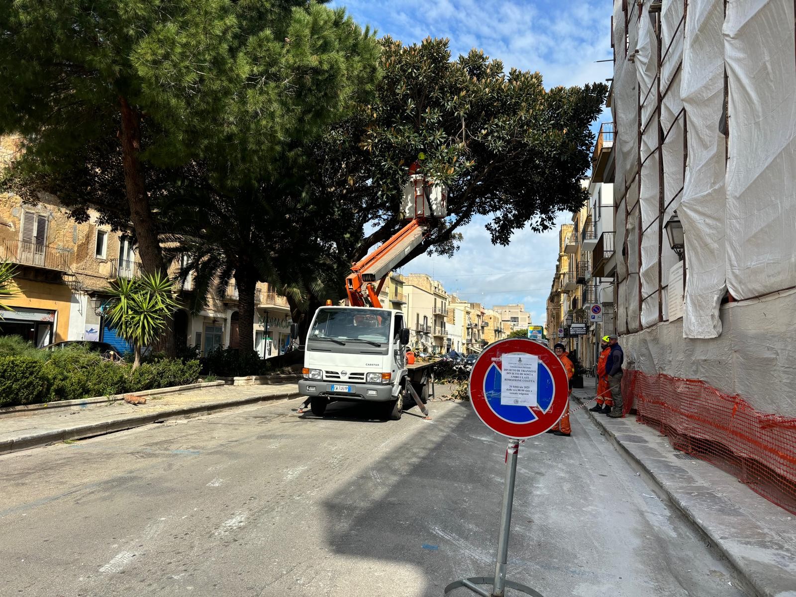 Immagine articolo: Potatura dei ficus in piazza Matteotti, operai del verde pubblico a lavoro