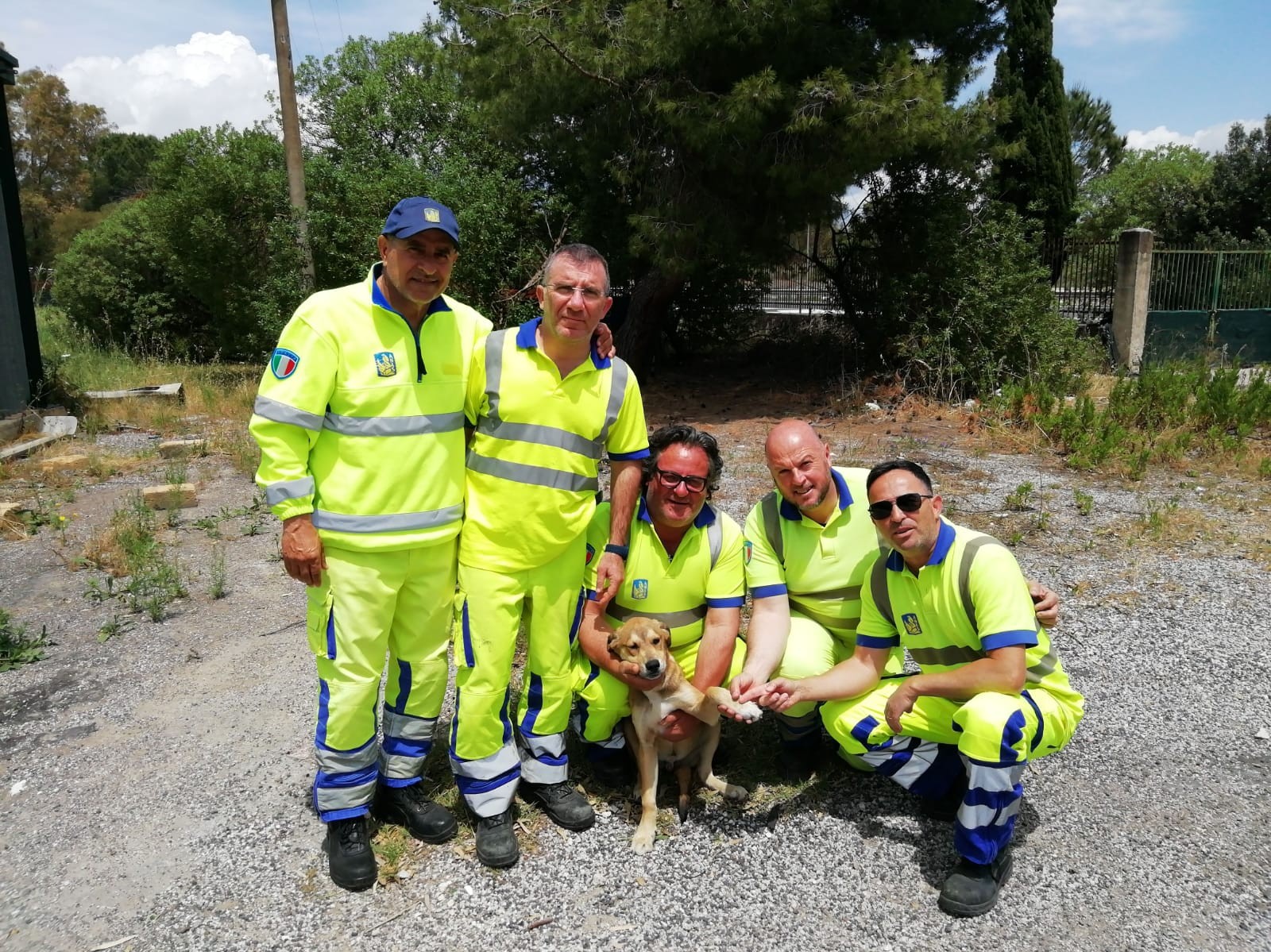 Immagine articolo: Cagnolino salvato dagli impiegati Anas lungo la A29. Si cerca qualcuno che lo adotti