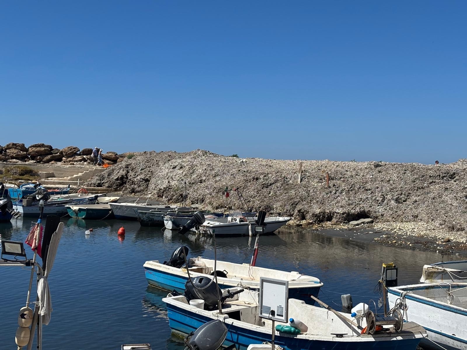 Immagine articolo: Marinella, alghe ancora accatastate e nessuna opera di sistemazione definitiva all’orizzonte