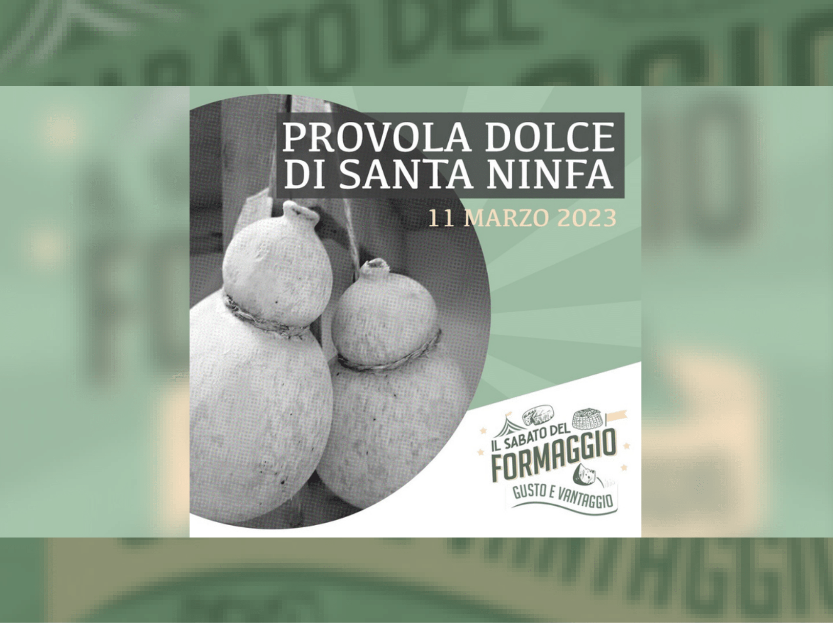 Immagine articolo: Sabato 11 Marzo il gusto della Provola dolce di Santa Ninfa, uno dei formaggi più antichi dell’isola
