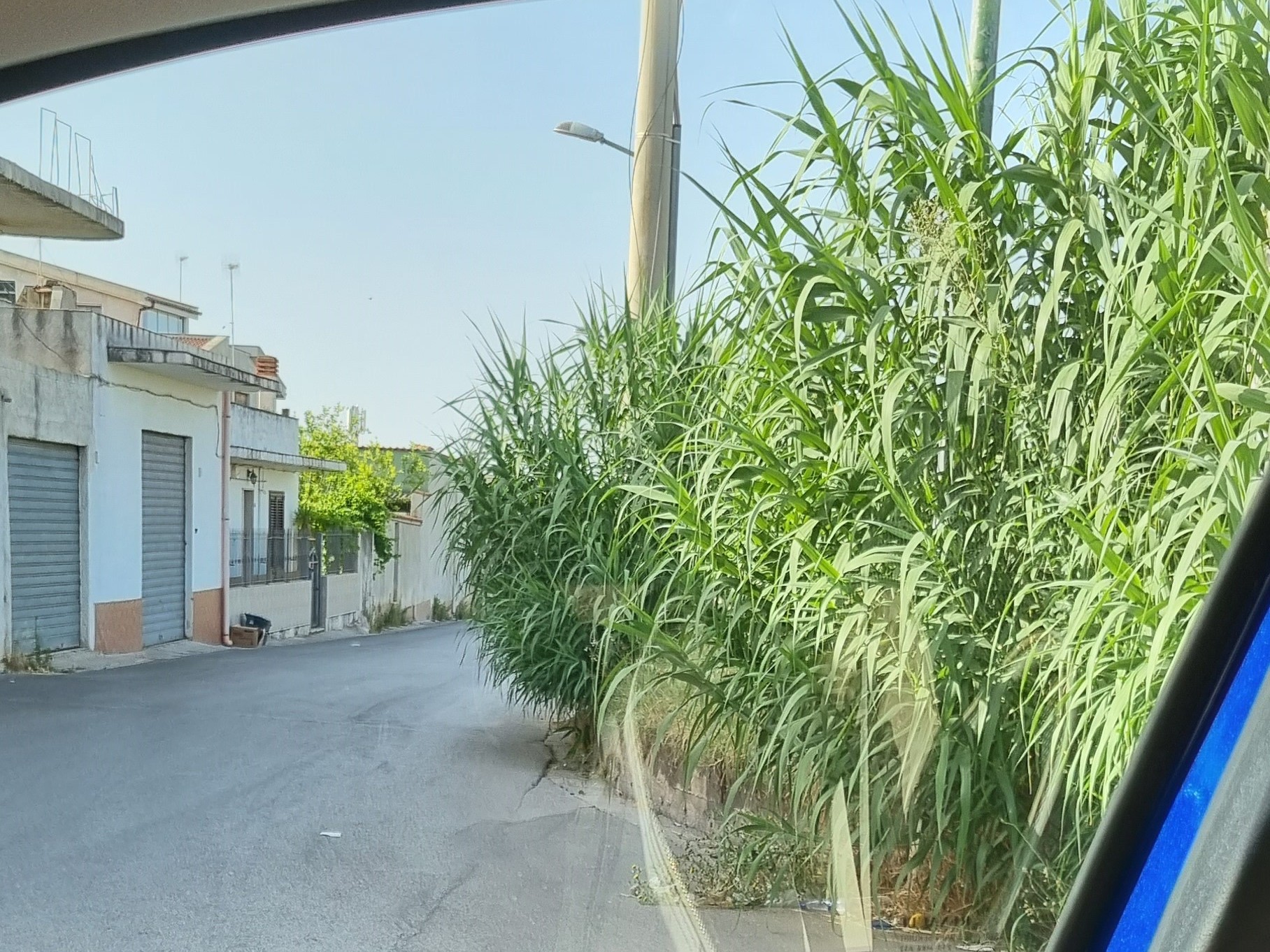 Immagine articolo: Il lettore scrive: “Scarsa visibilità tra via Giallonghi e via Lazio. Si intervenga” Immagine articolo: Il lettore scrive: “Scarsa visibilità tra via Giallonghi e via Lazio. Si intervenga”