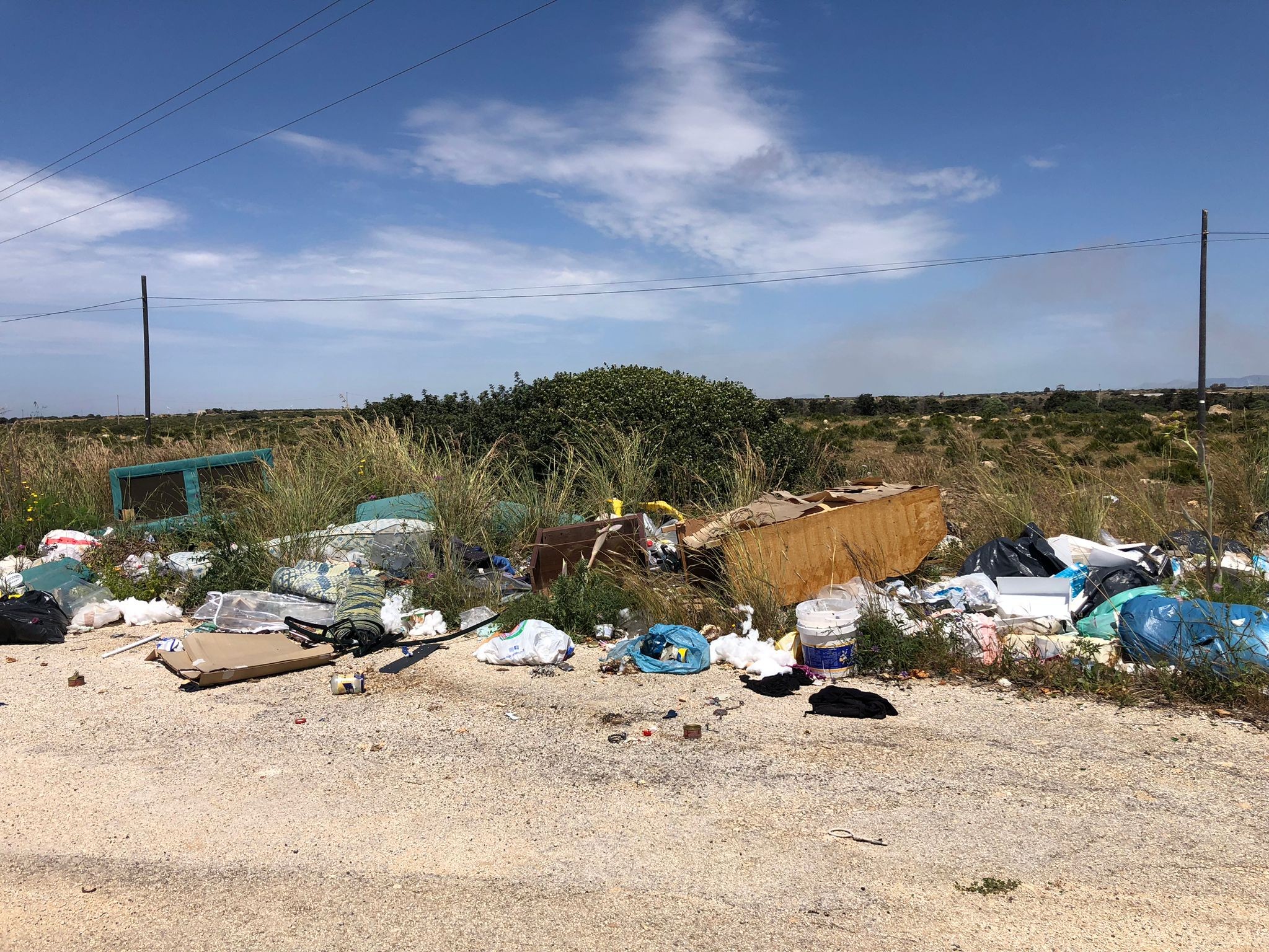 Immagine articolo: Campobello, consiglieri d'opposizione chiedono la disinfestazione di alcune aree Immagine articolo: Campobello, consiglieri d'opposizione chiedono la disinfestazione di alcune aree