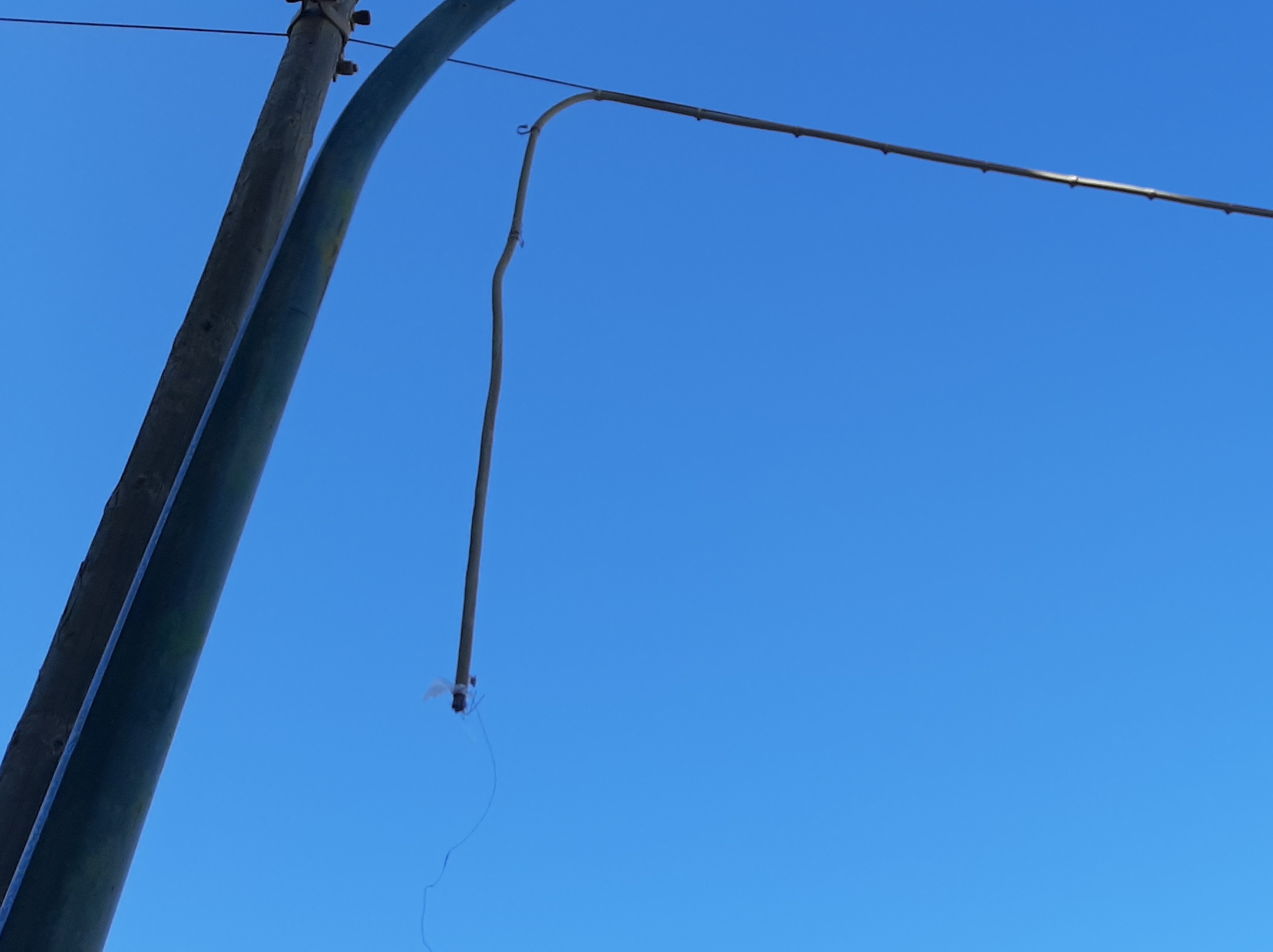 Immagine articolo: Il lettore scrive: “Cavo elettrico tranciato in via Rostagno. È un pericolo. Si intervenga” Immagine articolo: Il lettore scrive: “Cavo elettrico tranciato in via Rostagno. È un pericolo. Si intervenga”