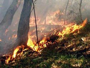 Immagine articolo: Incendi, Riserva dello Zingaro andata in fumo. Sindaco Rizzo: "Siamo Stati Abbandonati"