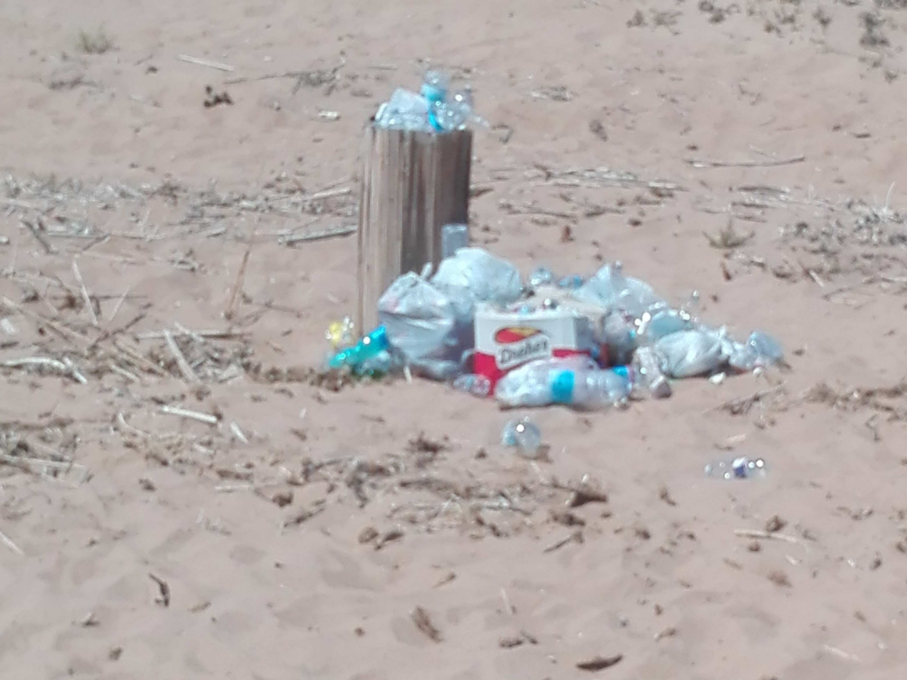 Immagine articolo: Una giornata dedicata alla pulizia delle spiagge di Triscina e Selinunte, appuntamento per domenica 16