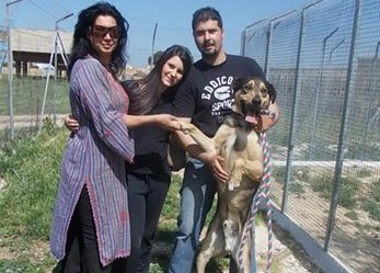 Immagine articolo: Il cane che aggredì un ragazzo si calma e viene adottato da due giovani. Laica: "Soddisfatti. Ottava adozione" Immagine articolo: Il cane che aggredì un ragazzo si calma e viene adottato da due giovani. Laica: "Soddisfatti. Ottava adozione"