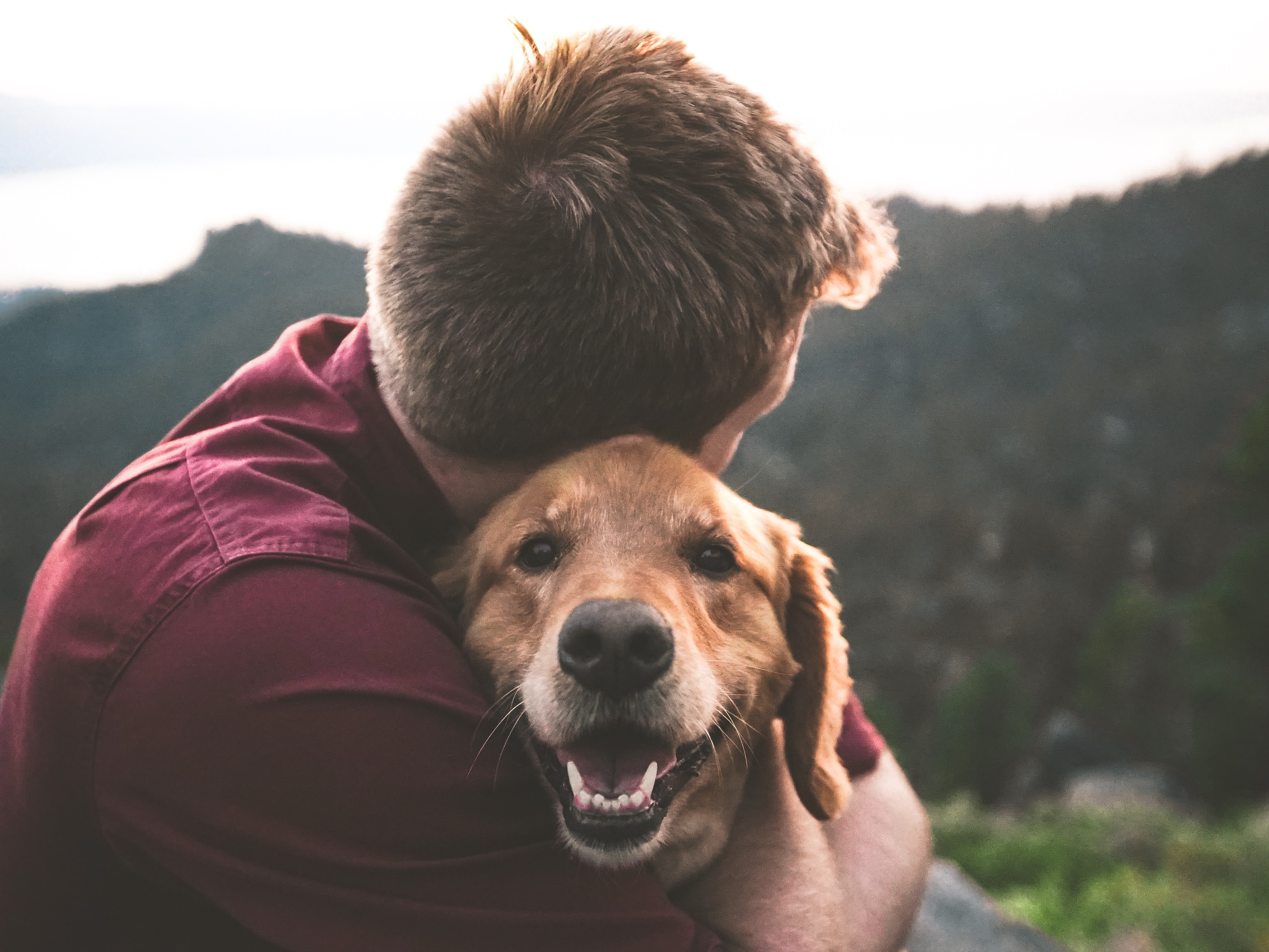 Immagine articolo: Italiani amanti degli animali: secondi in Europa per numero di animali domestici