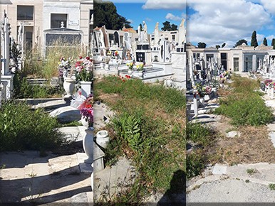 Immagine articolo: CVetrano, degrado al cimitero comunale "Caro sindaco inserisca il decoro tra le priorità"