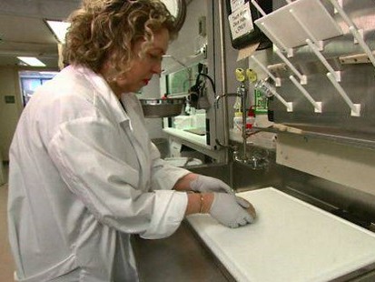 Immagine articolo: In Italia mancata bidella, oggi Scienziata ad Harvard. Esiste ancora il merito in Italia? Immagine articolo: In Italia mancata bidella, oggi Scienziata ad Harvard. Esiste ancora il merito in Italia?