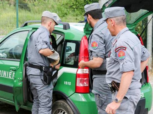 Immagine articolo: Marsala, controlli dei Carabinieri Forestali. Sanzionata una ditta