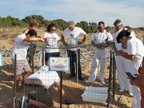 Immagine articolo: 82 tartarughine Caretta caretta nascono a Selinunte sotto la protezione degli Dèi Immagine articolo: 82 tartarughine Caretta caretta nascono a Selinunte sotto la protezione degli Dèi
