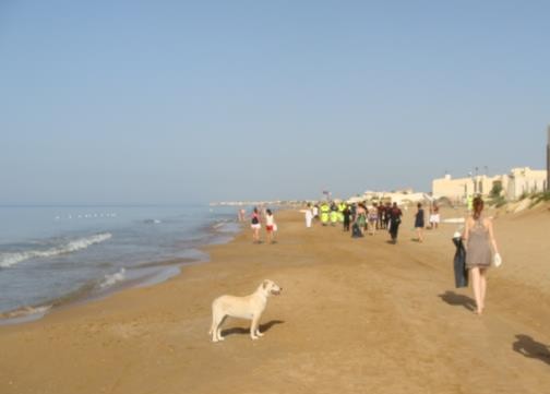 Immagine articolo: Cittadini, Associazioni e istituzioni insieme a Triscina per una mattinata di pulizia delle spiagge Immagine articolo: Cittadini, Associazioni e istituzioni insieme a Triscina per una mattinata di pulizia delle spiagge