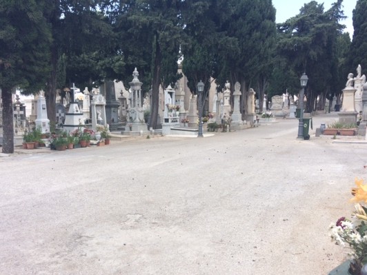 Immagine articolo: Caos al cimitero di Castelvetrano. Salme "in fila" per la tumulazione tra disagi e proteste