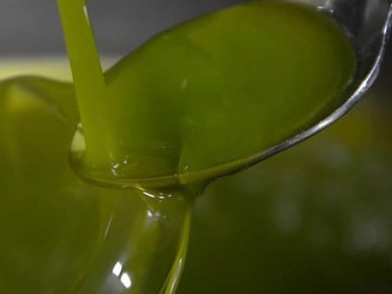 Immagine articolo: L'olio in Sicilia sale alle stelle per i consumatori, gratificato però il lavoro degli agricoltori Immagine articolo: L'olio in Sicilia sale alle stelle per i consumatori, gratificato però il lavoro degli agricoltori