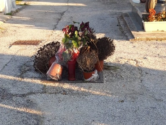 Immagine articolo: Il lettore scrive: “Scomparso uno dei bidoni al cimitero. Lumini e fiori a terra. Si intervenga”