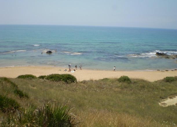 Immagine articolo: Iniziativa per la salvaguardia e la pulizia del litorale: "Adotti(amo) una spiaggia" Immagine articolo: Iniziativa per la salvaguardia e la pulizia del litorale: "Adotti(amo) una spiaggia"