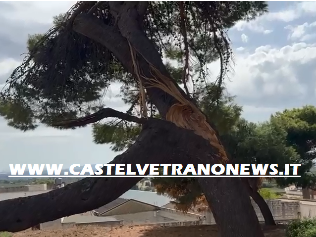 Immagine articolo: Cade grosso ramo all'interno del Parco delle Rimembranze, danneggiato monumento del Calvario