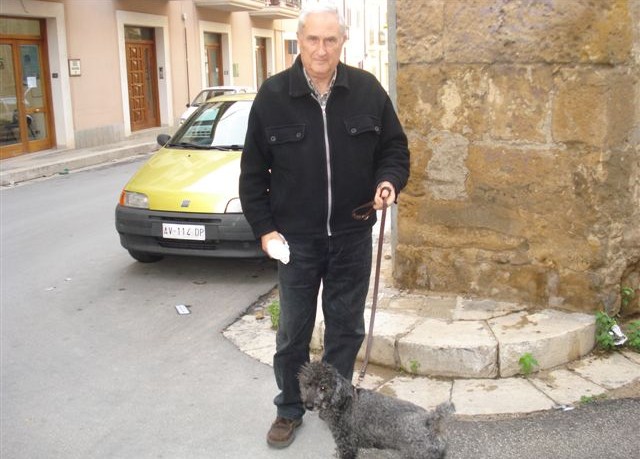 Immagine articolo: L’Amministrazione prevede pesanti sanzioni per i proprietari dei cani che sporcano Immagine articolo: L’Amministrazione prevede pesanti sanzioni per i proprietari dei cani che sporcano