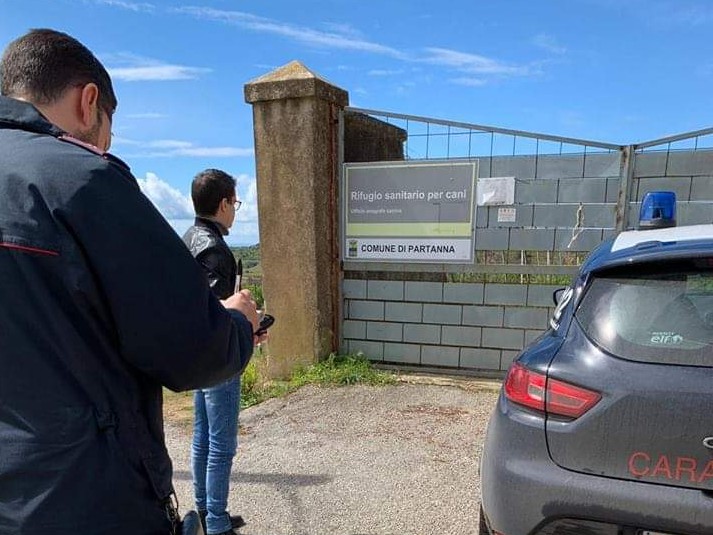 Immagine articolo: Blitz dell'animalista Enrico Rizzi presso il canile di Partanna. Positivo l'esito. Incontrato il Sindaco Nicola Catania Immagine articolo: Blitz dell'animalista Enrico Rizzi presso il canile di Partanna. Positivo l'esito. Incontrato il Sindaco Nicola Catania