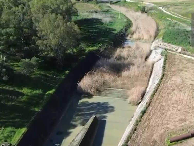 Immagine articolo: La consulta spontanea dell'agricoltura chiede al MIT accesso agli atti della Diga Delia Immagine articolo: La consulta spontanea dell'agricoltura chiede al MIT accesso agli atti della Diga Delia