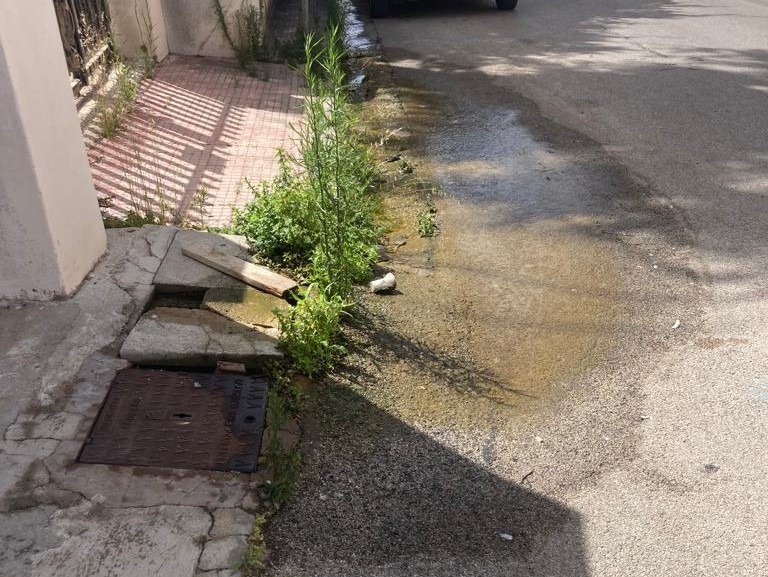 Immagine articolo: Il lettore scrive: “Continua perdita d’acqua in strada davanti Hotel Eracle. Si intervenga” Immagine articolo: Il lettore scrive: “Continua perdita d’acqua in strada davanti Hotel Eracle. Si intervenga”