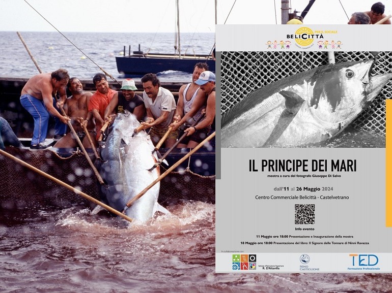 Immagine articolo: A Belicittà la mostra "Il principe dei mari" di Giuseppe Di Salvo
