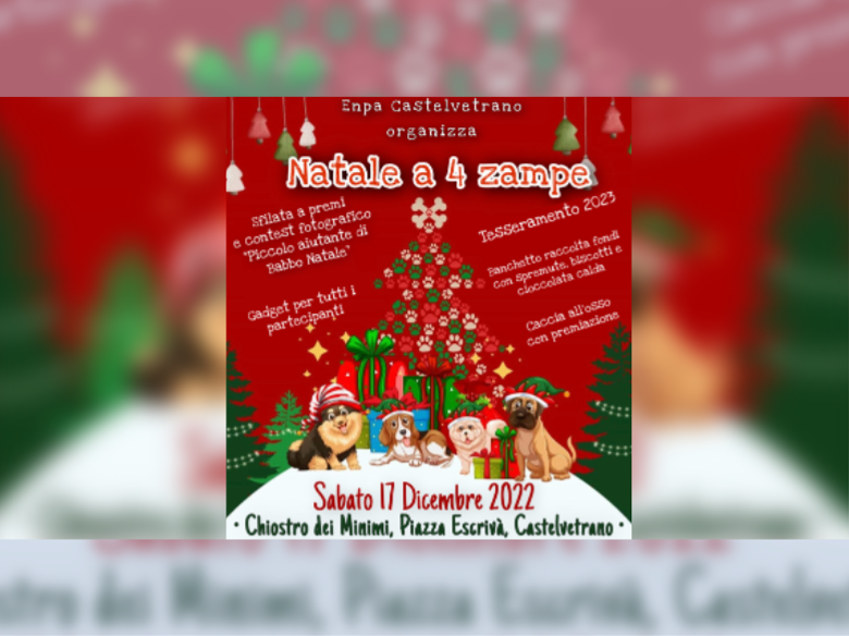 Immagine articolo: Castelvetrano, domani “Natale a 4 zampe” all’interno chiostro dei Minimi. Sfilate, attività e non solo