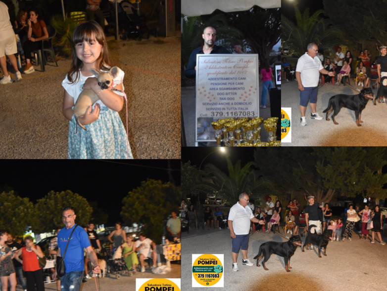 Immagine articolo: Gran successo all’’evento cinofilo a Triscina Immagine articolo: Gran successo all’’evento cinofilo a Triscina