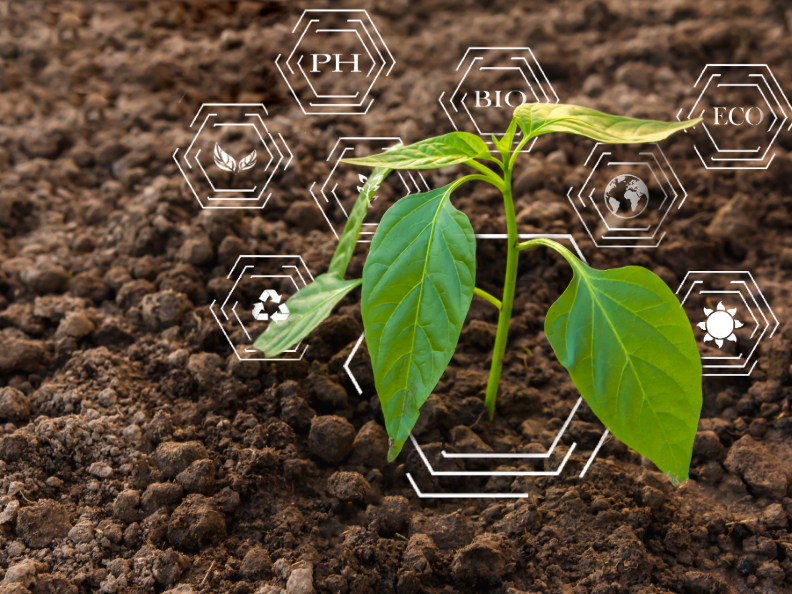 Immagine articolo: Agricoltura e innovazione: le imprese locali e la sintetica con le tecnologie digitali Immagine articolo: Agricoltura e innovazione: le imprese locali e la sintetica con le tecnologie digitali