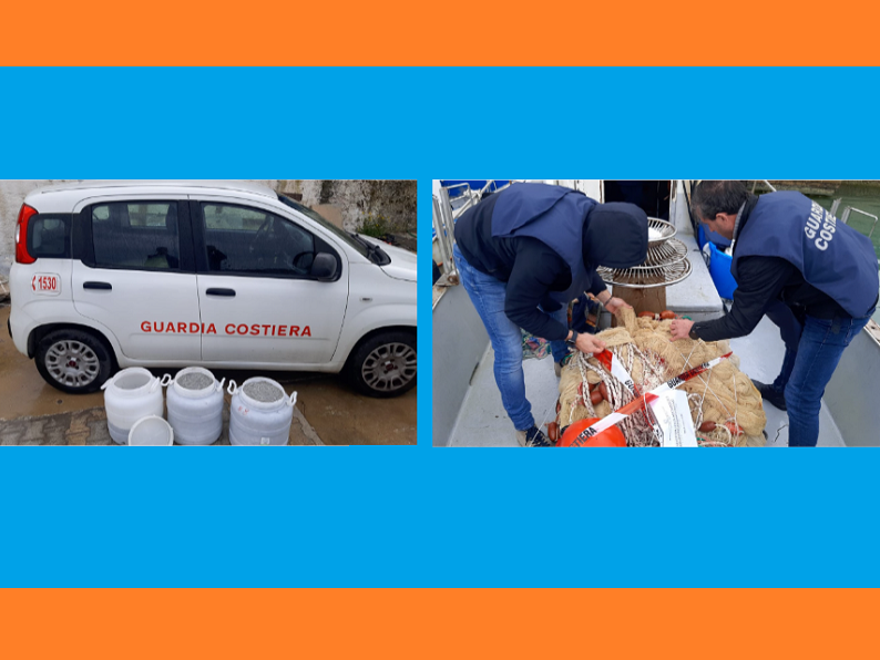 Immagine articolo: Marinella, sequestrati oltre 100kg di novellame di sarda dalla Capitaneria di porto Immagine articolo: Marinella, sequestrati oltre 100kg di novellame di sarda dalla Capitaneria di porto