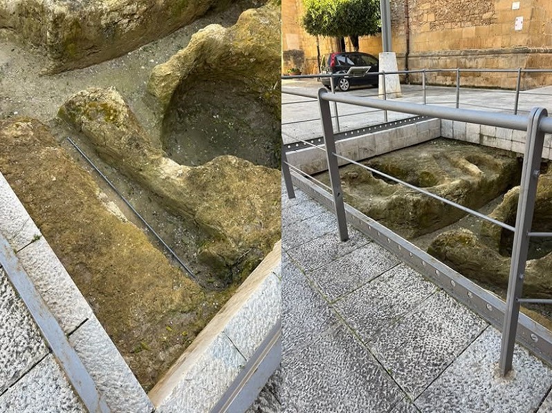 Immagine articolo: Vandalismo a Castelvetrano, distrutto in poche ore il lavoro di un cittadino Immagine articolo: Vandalismo a Castelvetrano, distrutto in poche ore il lavoro di un cittadino