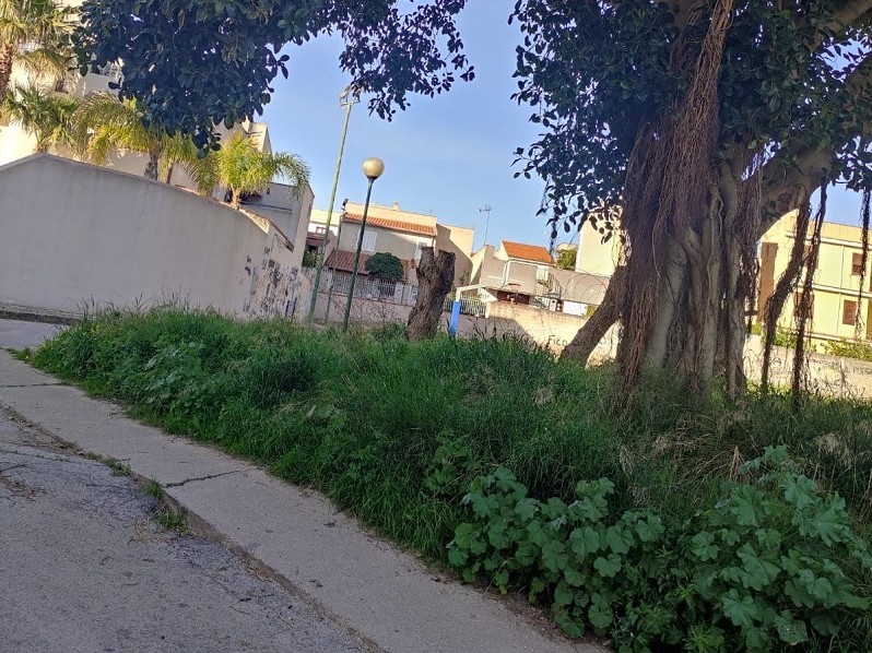 Immagine articolo: Il lettore scrive, in via Piemonte e via Sant'Alessio una situazione insostenibile Immagine articolo: Il lettore scrive, in via Piemonte e via Sant'Alessio una situazione insostenibile