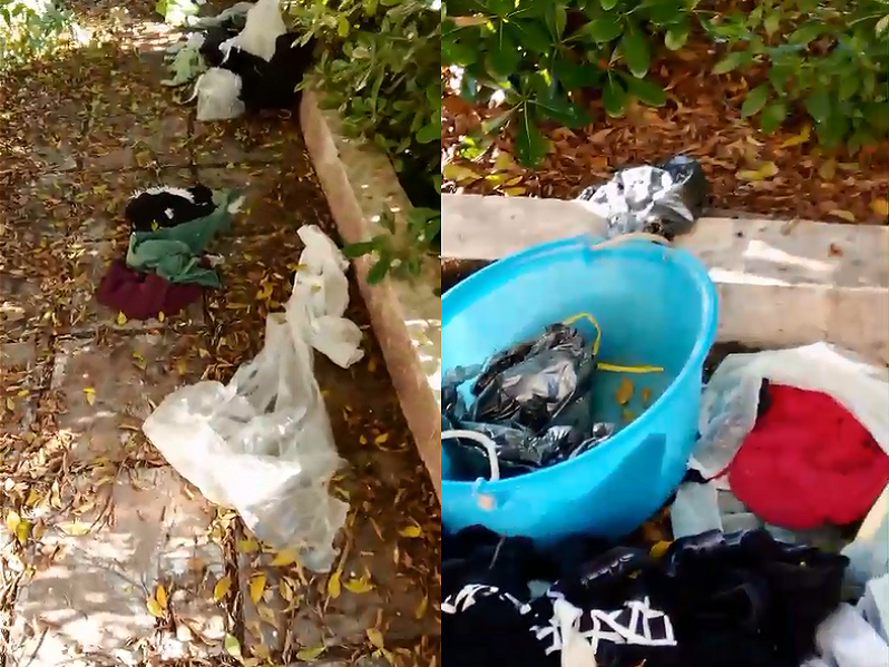 Immagine articolo: Il lettore scrive: "Vestiti per la Caritas buttati nella villa come spazzatura" Immagine articolo: Il lettore scrive: "Vestiti per la Caritas buttati nella villa come spazzatura"