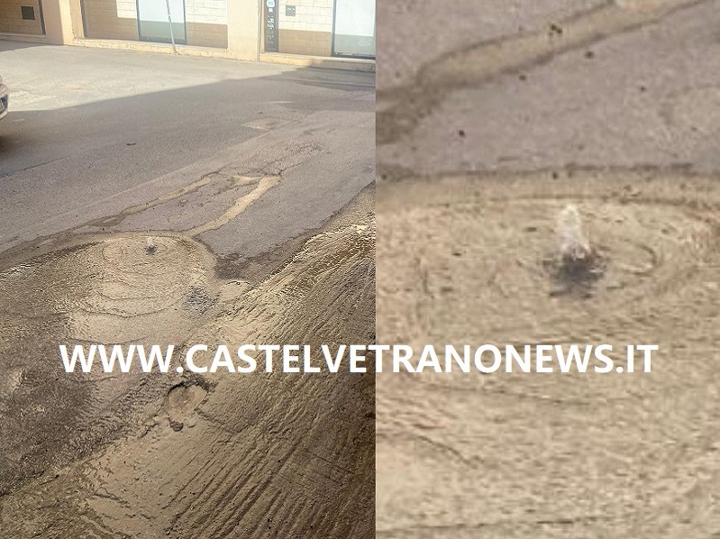 Immagine articolo: Il lettore scrive: "Perdita idrica in via Crispi dopo continui lavori e scavi" Immagine articolo: Il lettore scrive: "Perdita idrica in via Crispi dopo continui lavori e scavi"