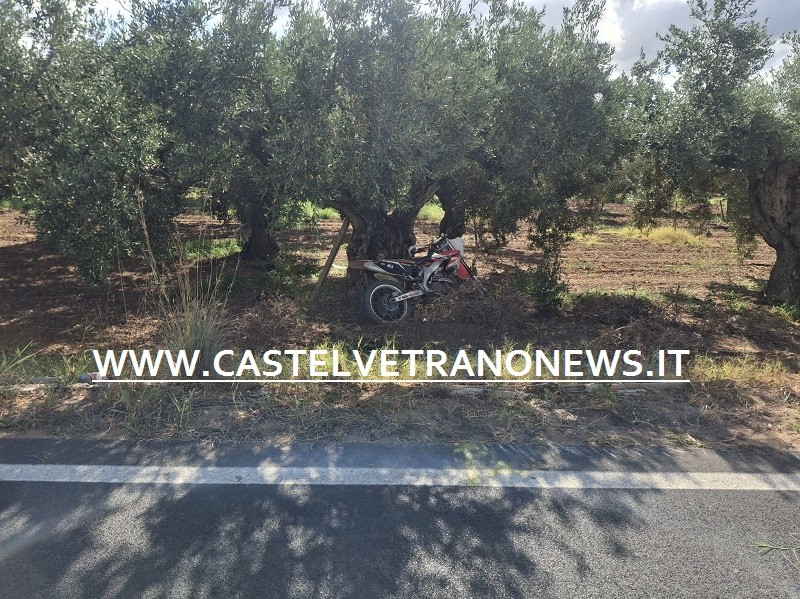 Immagine articolo: Incidente autonomo in sella ad un enduro, giovane castelvetranese trasportato a Palermo Immagine articolo: Incidente autonomo in sella ad un enduro, giovane castelvetranese trasportato a Palermo