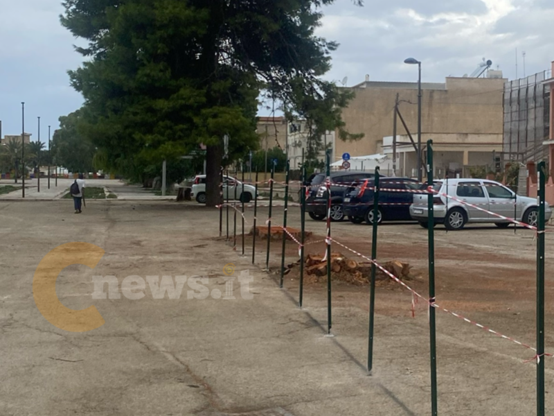 Immagine articolo: Il lettore scrive: "Gli alberi tagliati in piazza stazione, cosa pensano gli ambientalisti?" Immagine articolo: Il lettore scrive: "Gli alberi tagliati in piazza stazione, cosa pensano gli ambientalisti?"