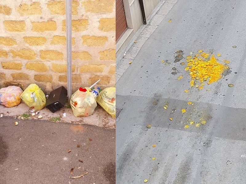 Immagine articolo: Il lettore scrive: "Spazzatura per le vie del centro, sacchi sparsi per la strada" Immagine articolo: Il lettore scrive: "Spazzatura per le vie del centro, sacchi sparsi per la strada"