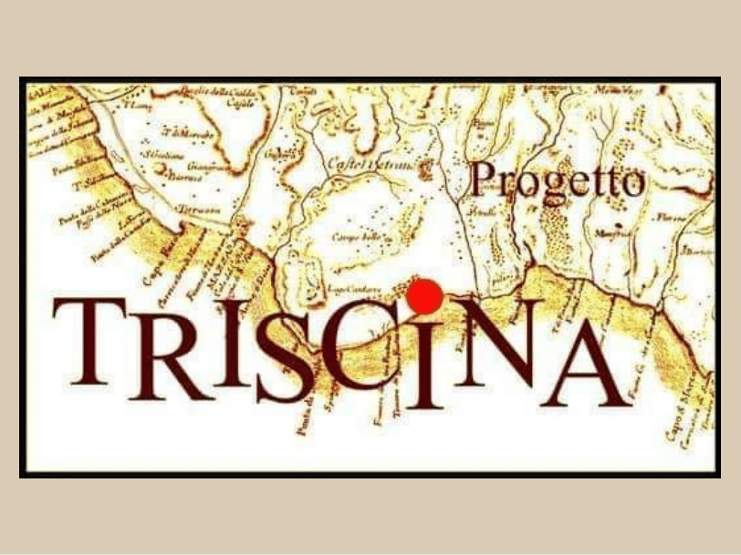Immagine articolo: Progetto Triscina, le congratulazioni al Dott. Crescente per nomina direttore Parco Archeologico Selinunte