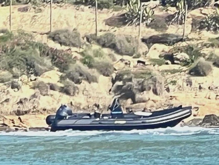 Immagine articolo: Sbarco fantasma tra Menfi e Castelvetrano: trovato un gommone Immagine articolo: Sbarco fantasma tra Menfi e Castelvetrano: trovato un gommone