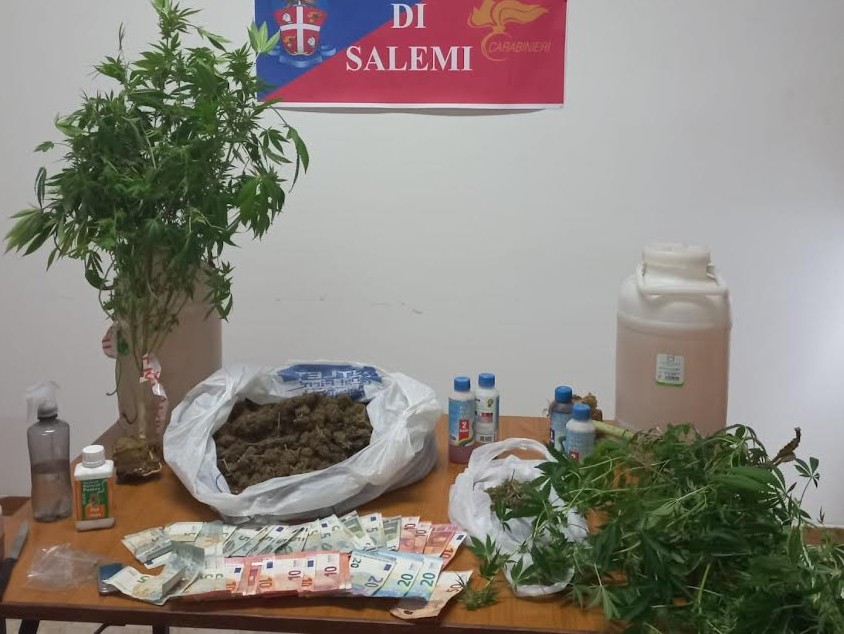 Immagine articolo: Piante di marijuana nel B&B, carabinieri arrestano 38enne gestore della struttura Immagine articolo: Piante di marijuana nel B&B, carabinieri arrestano 38enne gestore della struttura