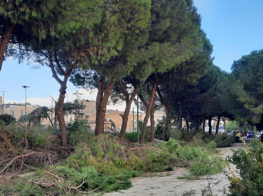 Immagine articolo: Area verde via PierSanti Mattarella, al via la bonifica